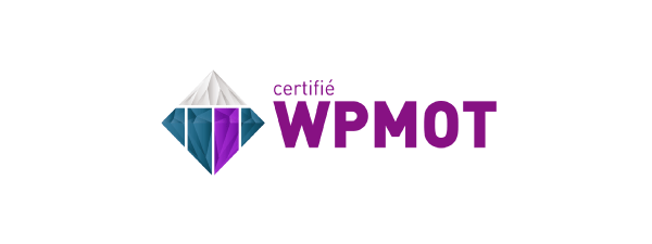 certifie wpmot tti success insight la competence formation loick